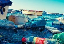 Microplásticos superam canudos como maior ameaça invisível fungo