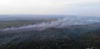 Fumaça de queimadas no Brasil já atinge cidades de dez estados Brasil