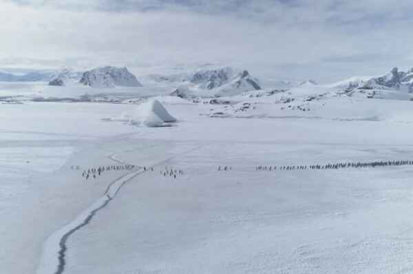O maior deserto do mundo não é o Saara. Então qual é? 2 Captura de tela 2024 08 20 180355 1
