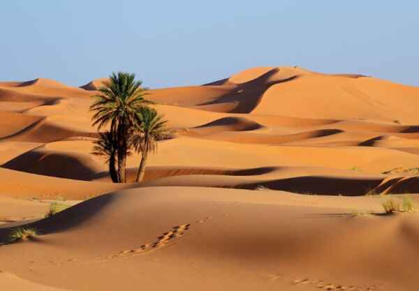 O maior deserto do mundo não é o Saara. Então qual é? 1 mundo