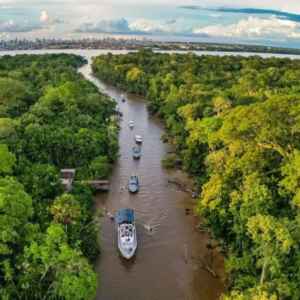 Três Poderes se unem em prol da transição ecológica três