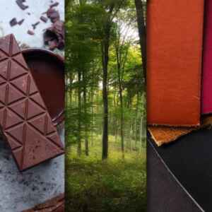 Exporta Mais Brasil celebra um ano com mais de 700 empresas atendidas exporta