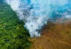Desmatamento na Amazônia entenda as principais causas e consequências