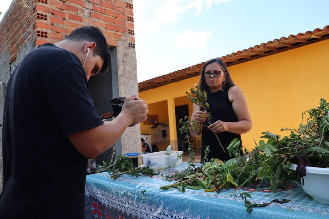 Estudante produziu filme sobre plantas medicinais