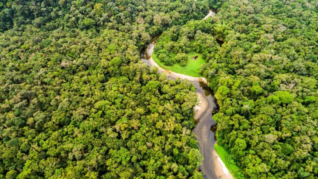 Futuro Sustentável na Amazônia