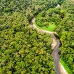 Futuro Sustentável na Amazônia