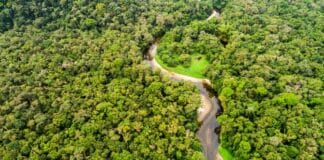 Futuro Sustentável na Amazônia