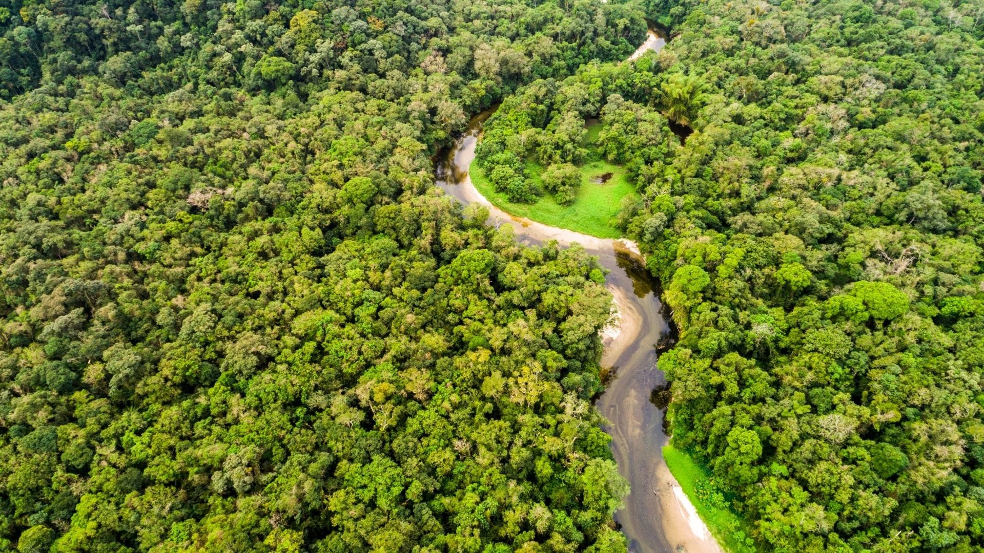 Futuro Sustentável na Amazônia