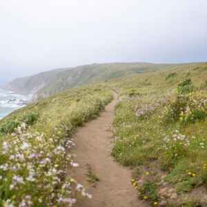 Ecossistemas que podem ser ameaçados pelo declínio dos níveis de água subterrânea Grande parte do Point Reyes National Seashore é categorizado como um ecossistema dependente de água subterrânea pelo estudo