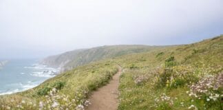 Grande parte do Point Reyes National Seashore é categorizado como um ecossistema dependente de água subterrânea pelo estudo