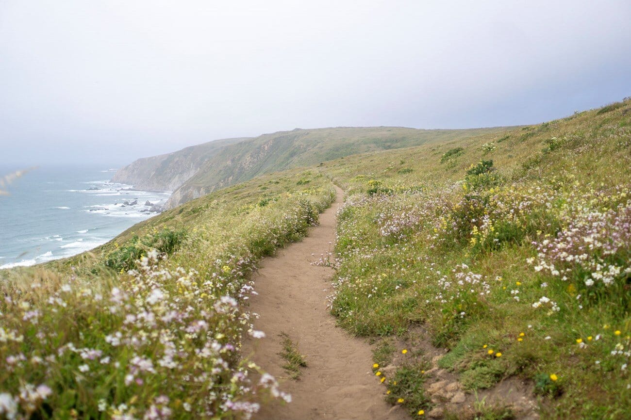 Grande parte do Point Reyes National Seashore é categorizado como um ecossistema dependente de água subterrânea pelo estudo