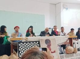 MEC avança debate sobre criação da Universidade Indígena