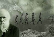 10 Surpreendentes Revelações Sobre Como 'A Evolução é Mais Rápida do que Darwin Imaginava' por Rosemary Grant