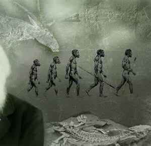 10 Surpreendentes Revelações Sobre Como ‘A Evolução é Mais Rápida do que Darwin Imaginava’ por Rosemary Grant 10 Surpreendentes Revelações Sobre Como 'A Evolução é Mais Rápida do que Darwin Imaginava' por Rosemary Grant