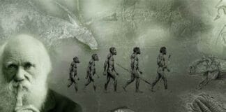 10 Surpreendentes Revelações Sobre Como 'A Evolução é Mais Rápida do que Darwin Imaginava' por Rosemary Grant