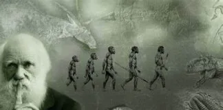 10 Surpreendentes Revelações Sobre Como 'A Evolução é Mais Rápida do que Darwin Imaginava' por Rosemary Grant 10 Surpreendentes Revelações Sobre Como 'A Evolução é Mais Rápida do que Darwin Imaginava' por Rosemary Grant