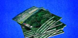Revista Amazônia | Edição de Agosto 2024 Revista Amazônia 132