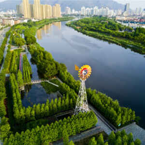 Cidades-Esponja: A Solução Sustentável para Inundações Urbanas Uma cidade que absorve água. Conheça a cidade-esponja! - Território Secreto