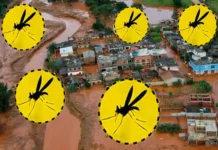 Febre Amarela e Desastres Ambientais: Como a Degradação Ambiental Pode Estar Aumentando o Risco de Epidemias Como a Degradação Ambiental Contribui para o Aumento da Febre Amarela