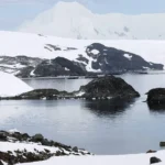 “Protocolo de Madri: Proteção da Antártica e o Futuro da Conservação Ambiental Global” Protocolo de Madrid Antártica