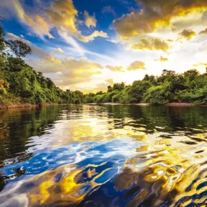 COP 30: Uma Nova Era de Ação Climática