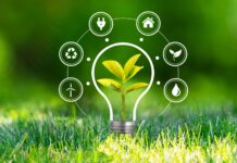 Tecnologia e Sustentabilidade: Como a Inovação Está Revolucionando o Futuro do ESG e Transformando Empresas”