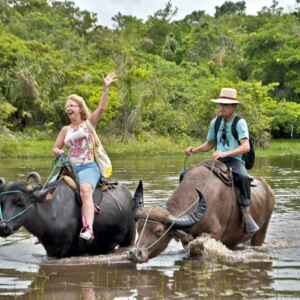 A Importância da Transmarajó no Turismo do Marajó
