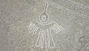 Geoglifos em relevo, como este, tendem a se distribuir nas encostas para que possam ser vistos à distância.