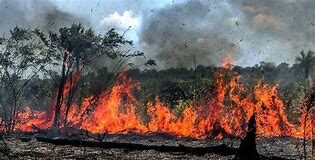 As queimadas na Amazônia têm sido um tema de grande preocupação global