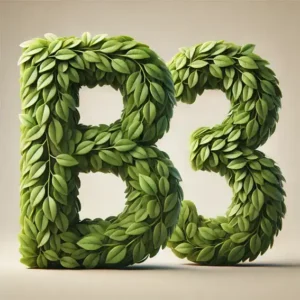 Explicamos passo a passo como funciona a negociação de créditos verdes na B3 e a verificação de práticas sustentáveis. Descubra como a B3 movimenta o mercado de créditos verdes com segurança e transparência.