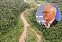 Banco do Brasil Tem Meta de Preservar 1 Milhão de Hectares em Projetos de Carbono até 2025 BB tem metas ousadas até 2030, alinhadas aos Objetivos de Desenvolvimento Sustentável e Acordo de Paris