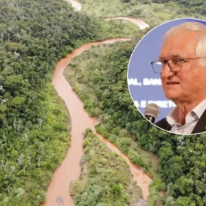Banco do Brasil Tem Meta de Preservar 1 Milhão de Hectares em Projetos de Carbono até 2025 BB tem metas ousadas até 2030, alinhadas aos Objetivos de Desenvolvimento Sustentável e Acordo de Paris