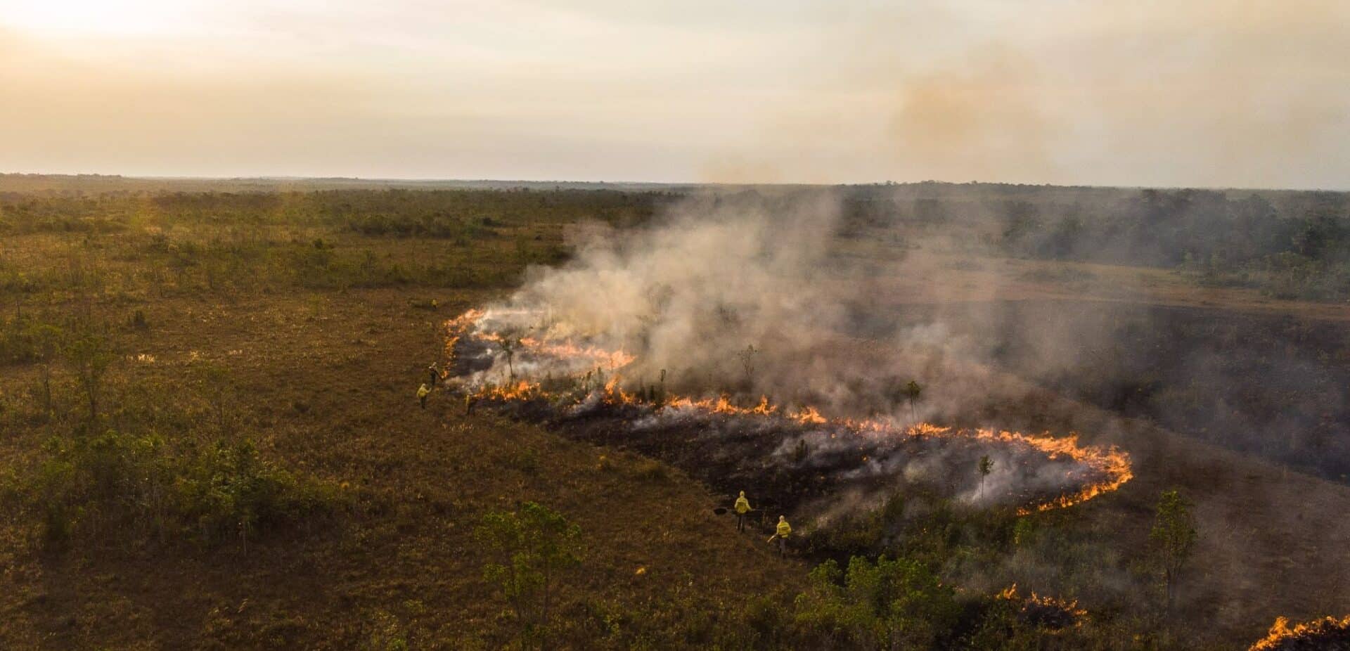 Manejo Integrado do Fogo: Como a Nova Lei Está Reduzindo Incêndios Florestais e Promovendo Sustentabilidade Rural