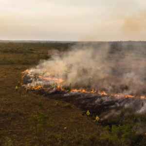 Sustentabilidade e Manejo do Fogo: Nova Lei em Ação Manejo Integrado do Fogo: Como a Nova Lei Está Reduzindo Incêndios Florestais e Promovendo Sustentabilidade Rural