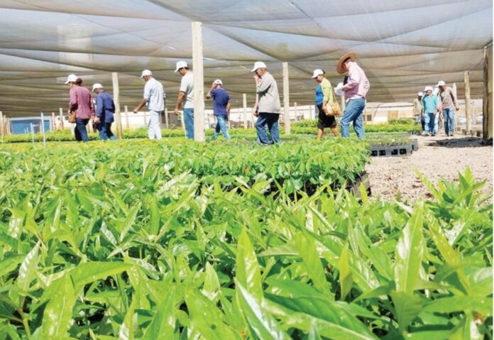 Captura de tela 2024-09-04 120733 sistema