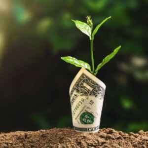 O que são créditos de carbono e como funcionam carbono