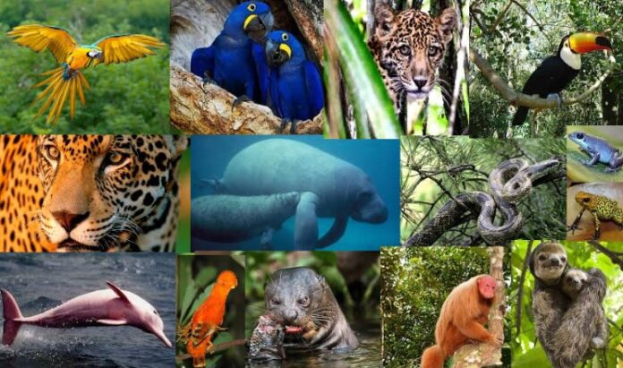 Captura de tela 2024-09-06 102417