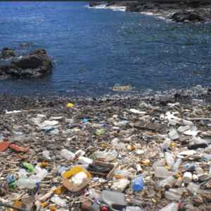 Um quinto do lixo plástico mundial é queimado ou descartado de forma inadequada lixo