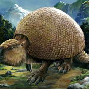 Descoberta de fósseis gigantes revela segredos de criaturas pré-históricas fósseis