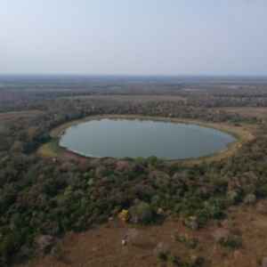 Análise das emissões das “Lagoas de Soda” no Pantanal e seus impactos nas mudanças climáticas lagoas