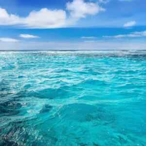 Pesquisa destaca benefícios da adição de ferro aos oceanos para a remoção do CO2 co2