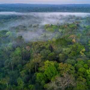 Ameaças ao progresso na proteção da Amazônia: reflexões sobre os fundos de impacto Amazônia