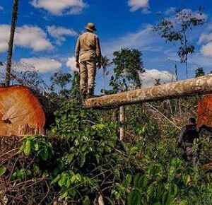 “Amazônia é um desafio humanitário além da floresta”, afirma diretor da IFC do Banco Mundial Amazônia