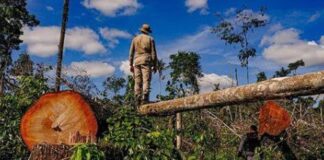 Amazônia