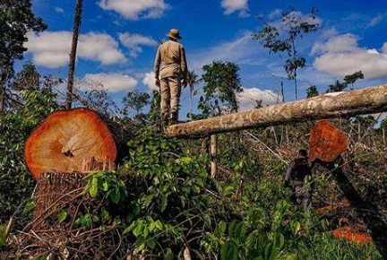 Amazônia