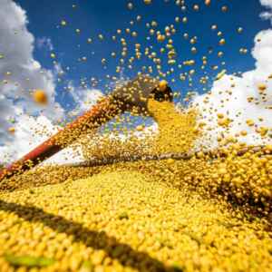 Clima desfavorável reduz safra de grãos em 21,4 milhões de toneladas safra