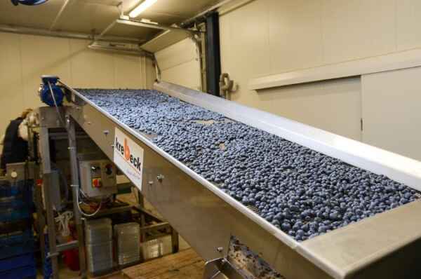 Captura de tela 2024 09 16 094723