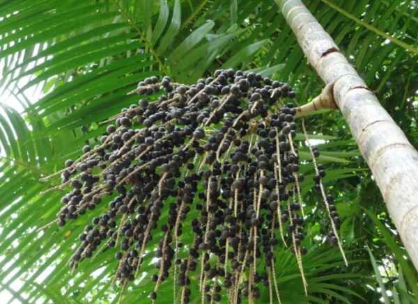 Captura de tela 2024 09 16 101014