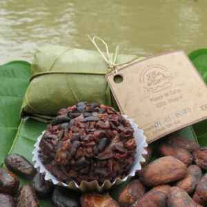 Fundação Amazônia Sustentável vai distribuir R$ 170 milhões da Alemanha em projetos ambientais projetos