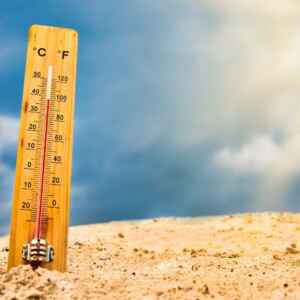 Barcelona e Maiorca terão clima semelhante ao de deserto até 2050, alerta estudo sobre secas clima